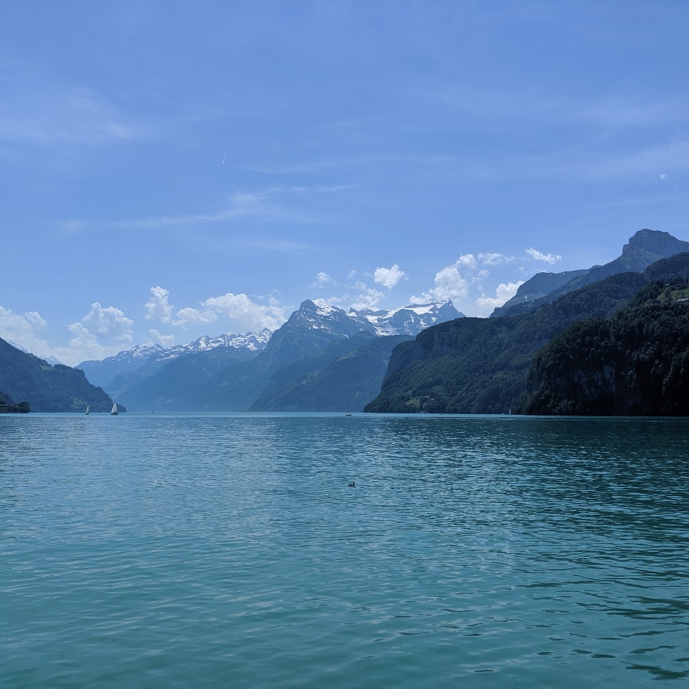 Meet your Posher, Alyson